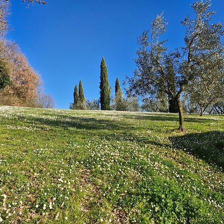 Agriturismo Val Della Pieve Ангьяри Экстерьер фото