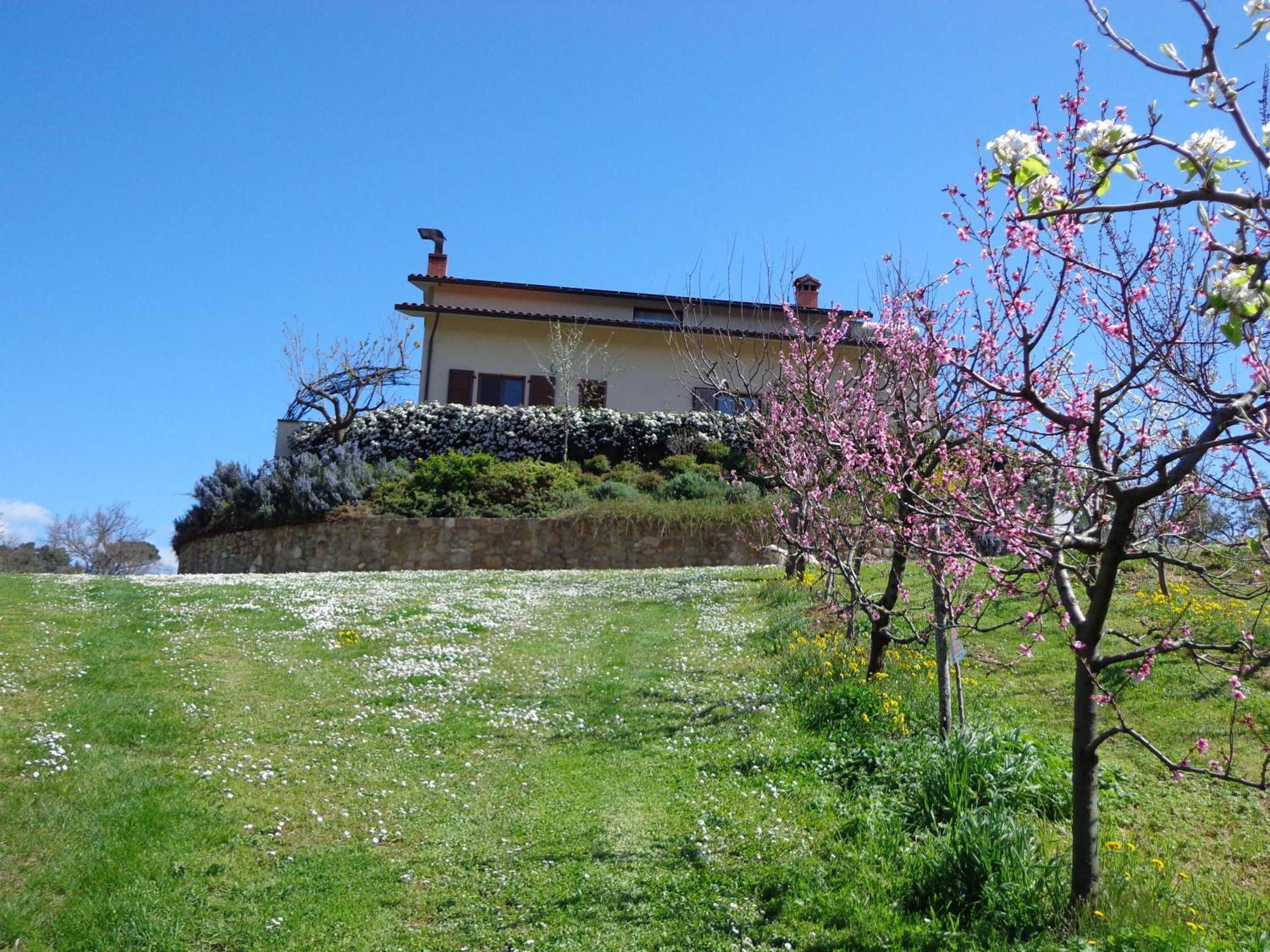 Agriturismo Val Della Pieve Ангьяри Экстерьер фото