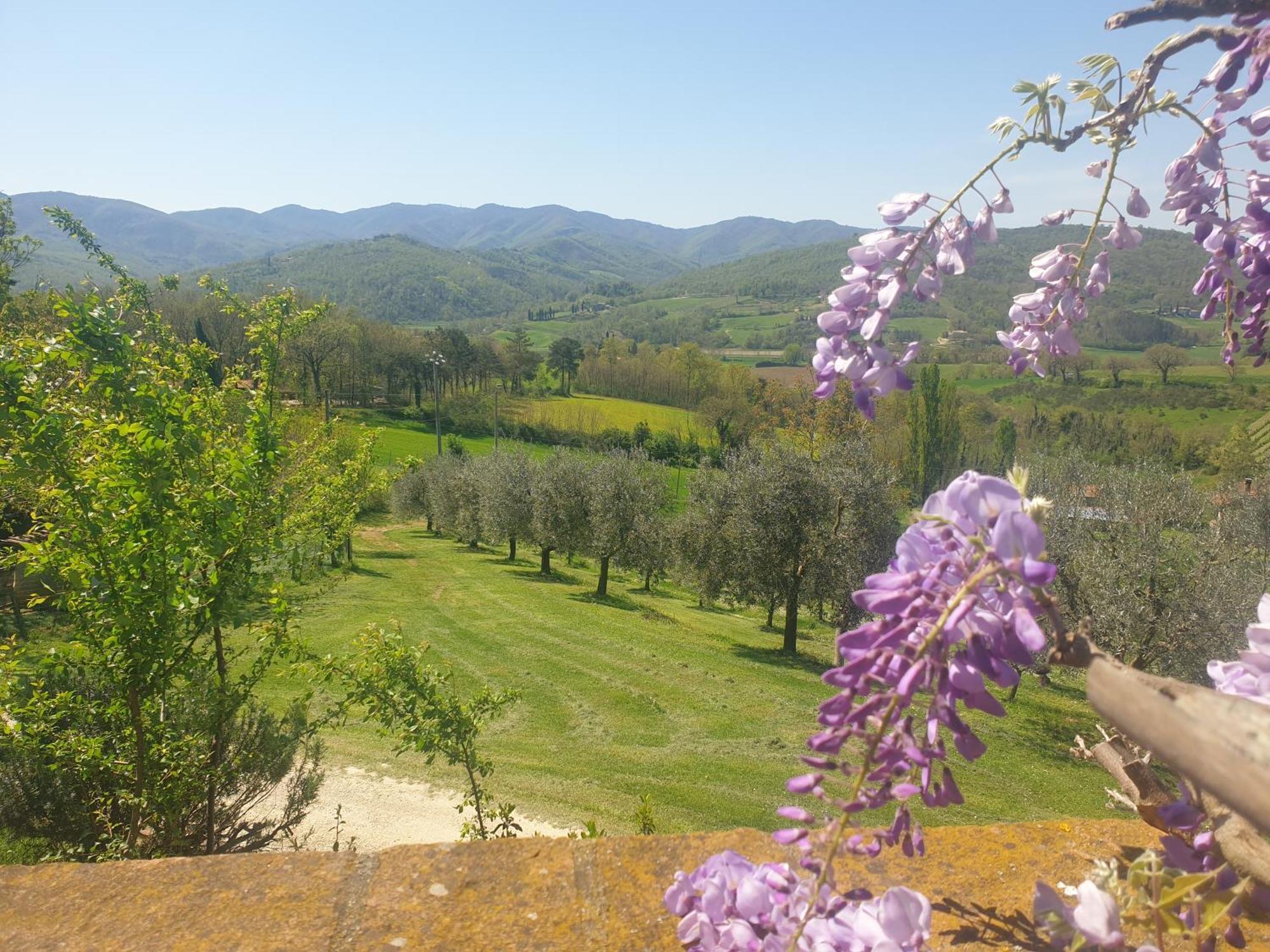 Agriturismo Val Della Pieve Ангьяри Экстерьер фото